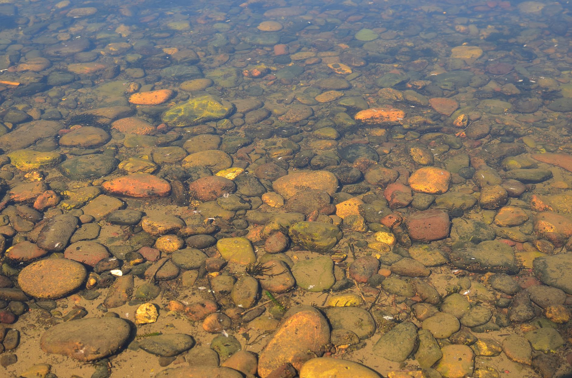 Visual illustration for kanuma substrat acidophile