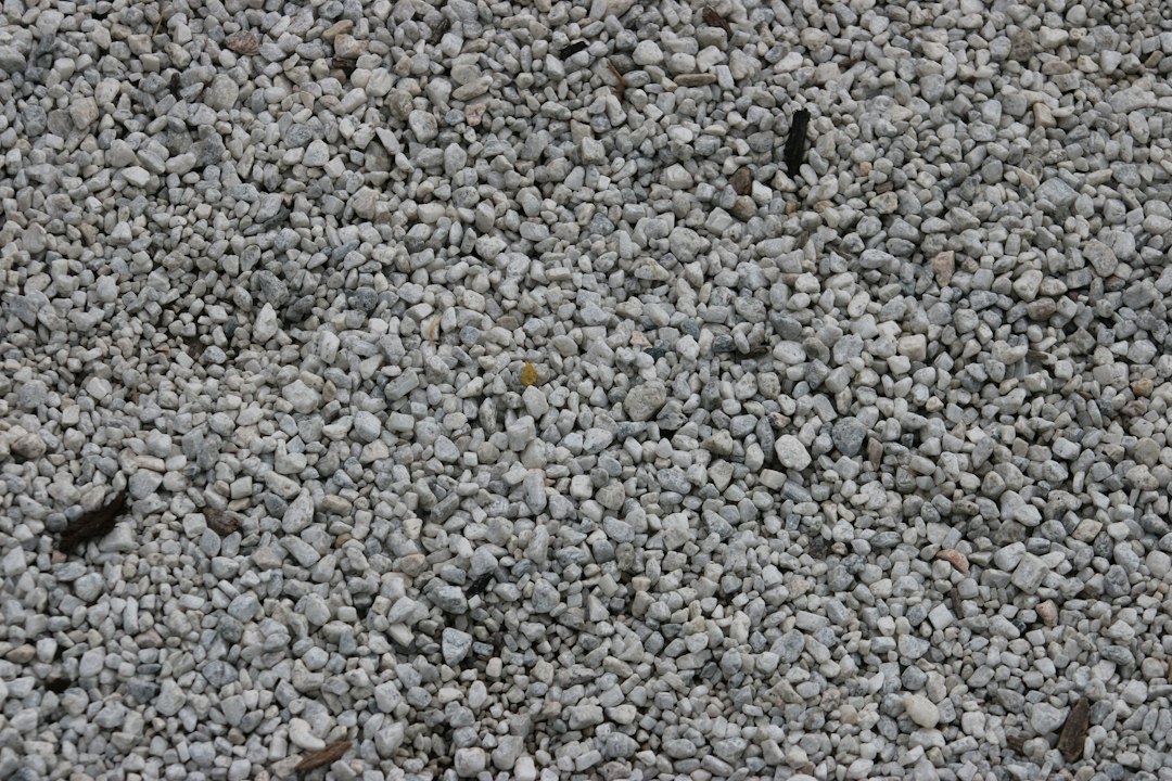Visual illustration for perlite vermiculite bonsaï